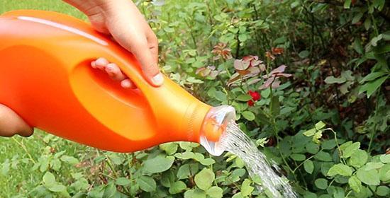 空调冷凝水的用途和安全性研究（探究空调冷凝水的可浇花性及对人体的影响）